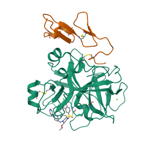 Rcsb Pdb 1iqj Human Coagulation Factor Xa In Complex With M55124