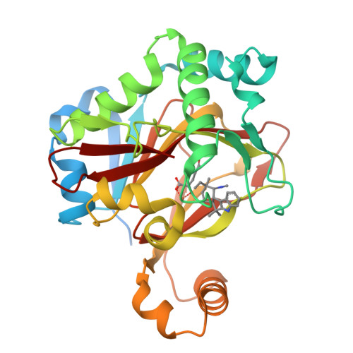 Rcsb Pdb 5iqt Welo5 Bound To Fe Ii Cl 2 Oxoglutarate And 12 Epifischerindole U