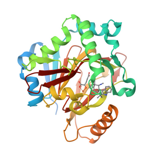 Rcsb Pdb 5iqt Welo5 Bound To Fe Ii Cl 2 Oxoglutarate And 12 Epifischerindole U