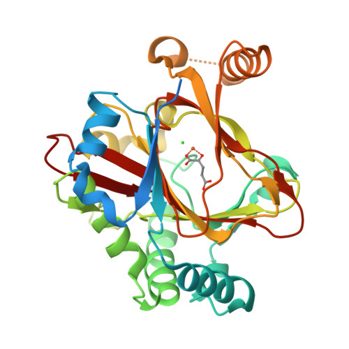 Rcsb Pdb 5iqt Welo5 Bound To Fe Ii Cl 2 Oxoglutarate And 12 Epifischerindole U