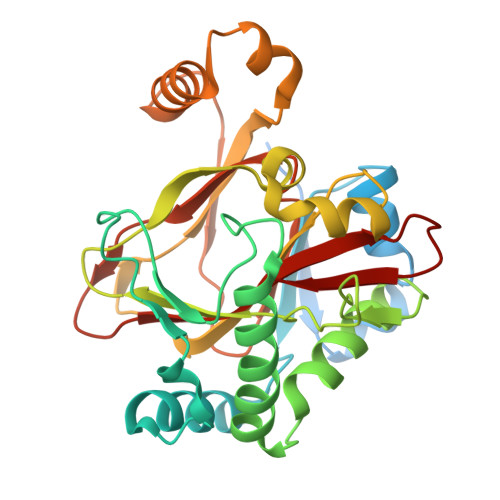 Rcsb Pdb 5iqt Welo5 Bound To Fe Ii Cl 2 Oxoglutarate And 12 Epifischerindole U