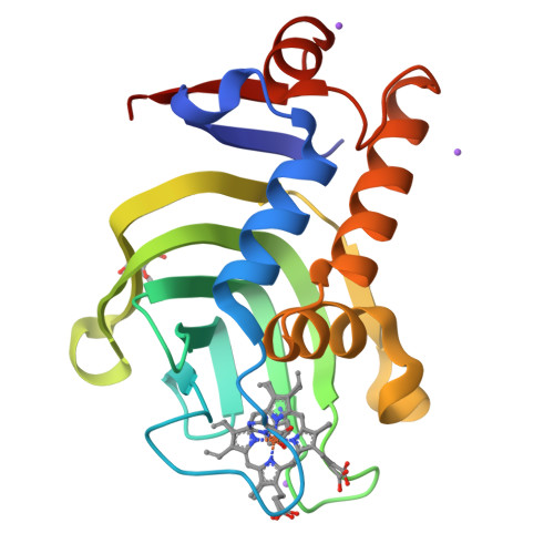 Rcsb Pdb 5iqx 1 05a Resolution Structure Of Holo Hasap R33a From Pseudomonas Aeruginosa