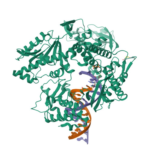 Rcsb Pdb 6ish Structure Of 9n I Dna Polymerase Incorporation With 3 Al In The Active Site