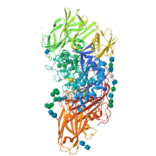 Rcsb Pdb 4iug Crystal Structure Of Beta Galactosidase From Aspergillus Oryzae In Complex With Galactose