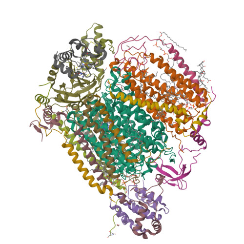 Rcsb Pdb 5iy5 Electron Transfer Complex Of Cytochrome C And Cytochrome C Oxidase At 2 0 Angstrom Resolution