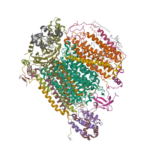 Rcsb Pdb 5iy5 Electron Transfer Complex Of Cytochrome C And Cytochrome C Oxidase At 2 0 Angstrom Resolution