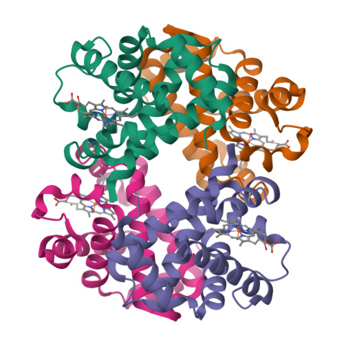 Rcsb Pdb 6iyh X Ray Sequence And High Resolution Crystal Structure Of Persian Sturgeon Methemoglobin