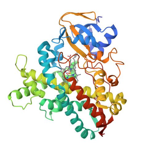 Rcsb Pdb 1izo Cytochrome P450 Bs Beta Complexed With Fatty Acid