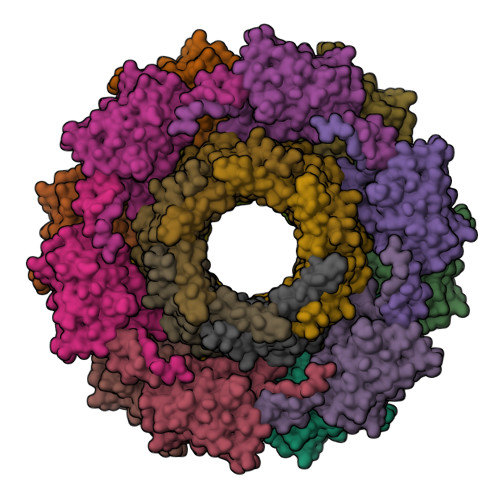 RCSB PDB - 6J0B: Cryo-EM Structure Of An Extracellular Contractile ...