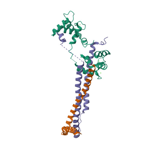 Crystal structure of the 46kDa domain of human cardiac troponin in the Ca2+ saturated form