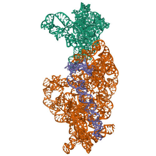 3J2C assembly