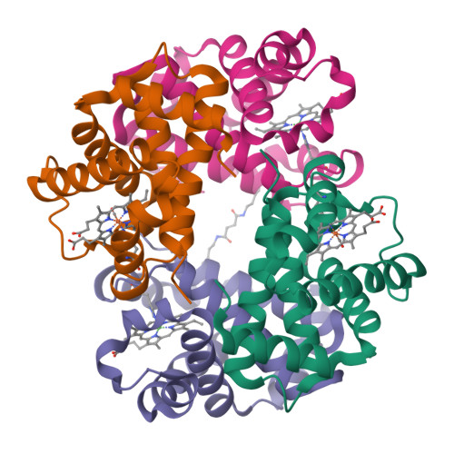 Rcsb Pdb 1j3z Direct Observation Of Photolysis Induced Tertiary Structural Changes In Human Haemoglobin Crystal Structure Of Alpha Fe Co Beta Ni Hemoglobin Laser Unphotolysed