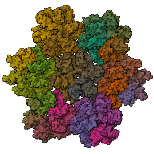 HIV Capsid protein structure