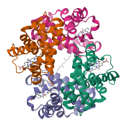 Rcsb Pdb 1j40 Direct Observation Of Photolysis Induced Tertiary Structural Changes In Human Haemoglobin Crystal Structure Of Alpha Ni Beta Fe Co Hemoglobin Laser Unphotolysed