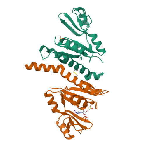 Protein Data Bank: 2J41