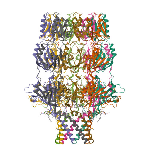 Rcsb Pdb 2j58 The Structure Of Wza