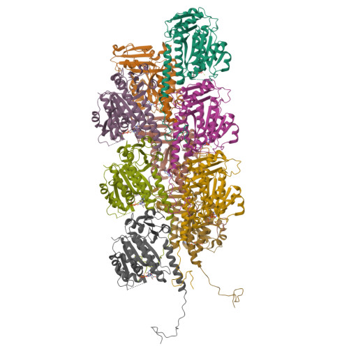 Rcsb Pdb 3j5v Phuz201 Filament