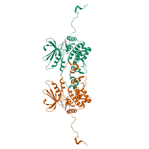 Rcsb Pdb 5j5t Glk Co Crystal Structure With Aminopyrrolopyrimidine Inhibitor