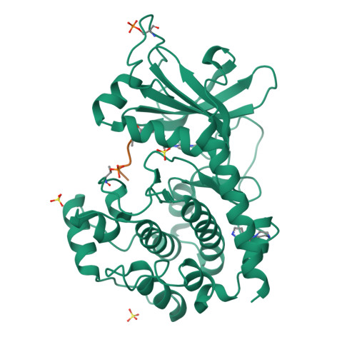 Rcsb Pdb 5j5x Complex Of Pka With The Bisubstrate Protein Kinase Inhibitor Arc 1416