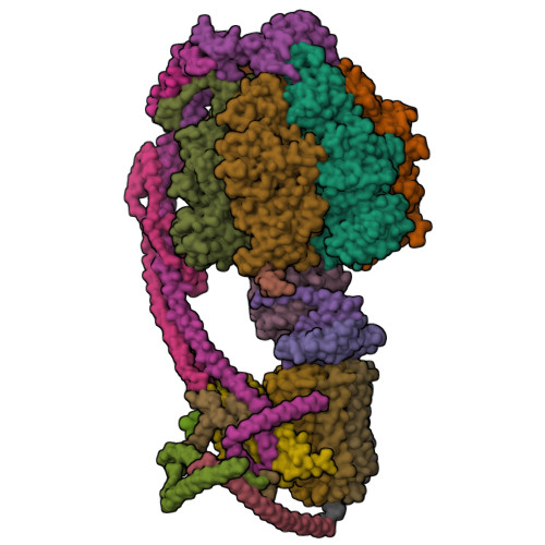 ATP Synthase protein structure