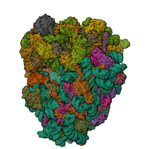 3J7P assembly