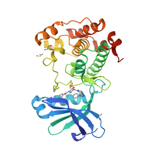 Rcsb Pdb 4j8m Aurora A In Complex With Cd532