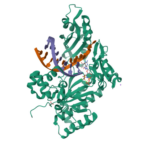 Rcsb Pdb 4j9m Human Dna Polymerase Eta Dna Ternary Complex Misincorporation G Opposite T After An A At The Primer 3 End Aa G