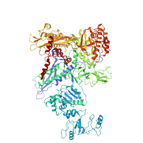 cryo-em structure of xanthomonos oryzae transcription elongation