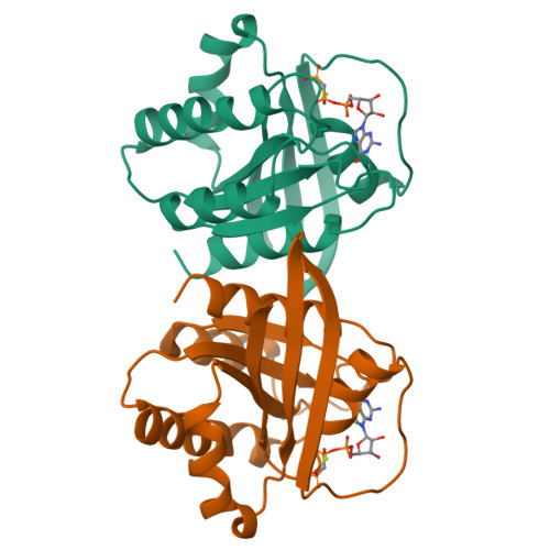 Rcsb Pdb 1jah H Ras P21 Protein Mutant G12p Complexed With Guanosine 5 Beta Gamma Methylene Triphosphate And Magnesium