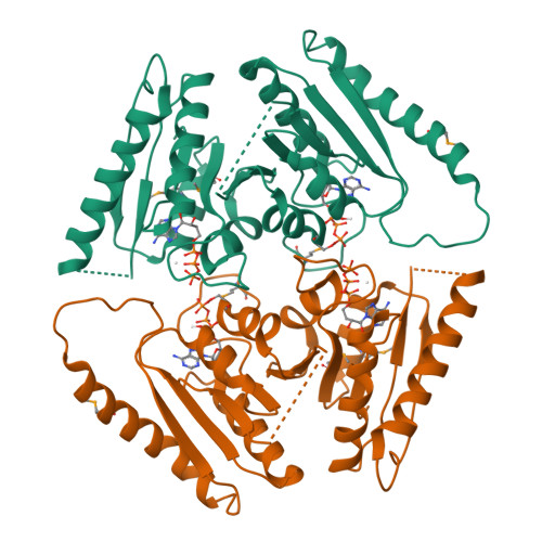 Rcsb Pdb 2jax Universal Stress Protein Rv2623 From Mycobaterium Tuberculosis