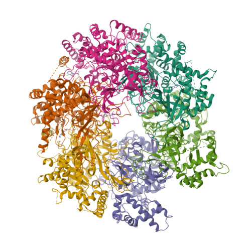 Rcsb Pdb 3ja8 Cryo Em Structure Of The Mcm2 7 Double Hexamer