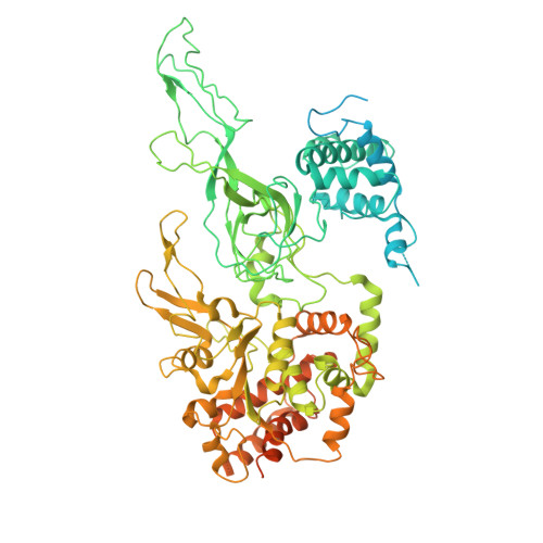 Rcsb Pdb 3ja8 Cryo Em Structure Of The Mcm2 7 Double Hexamer