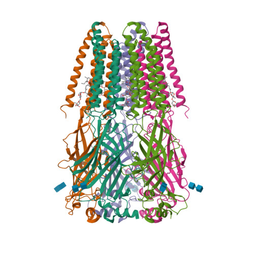 Rcsb Pdb 3jaf Structure Of Alpha 1 Glycine Receptor By Single Particle Electron Cryo Microscopy Glycine Ivermectin Bound State