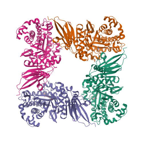 Rcsb Pdb 5jaw Structure Of A Beta Galactosidase With Inhibitor