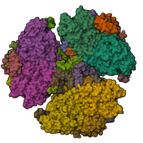 Rcsb Pdb 1jb0 Crystal Structure Of Photosystem I A Photosynthetic Reaction Center And Core Antenna System From Cyanobacteria