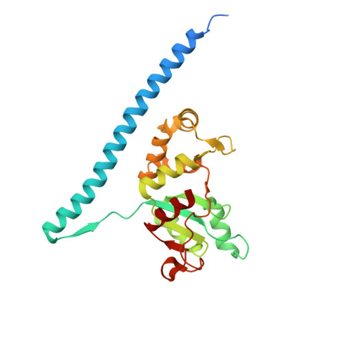 Rcsb Pdb 3jct Cryo Em Structure Of Eukaryotic Pre 60s Ribosomal Subunits