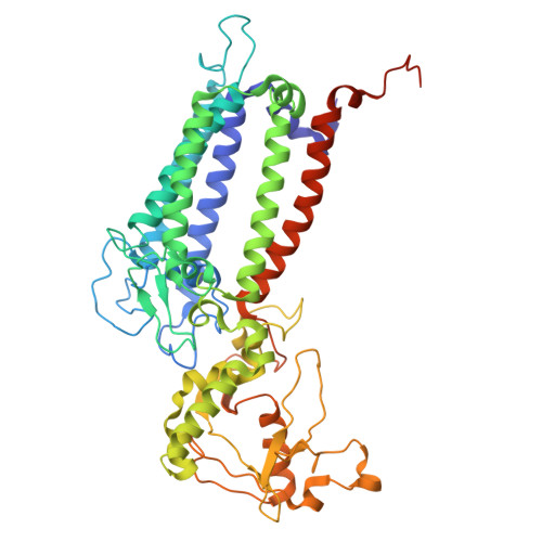 Rcsb Pdb 3jcu Cryo Em Structure Of Spinach Psii Lhcii Supercomplex At 3 2 Angstrom Resolution