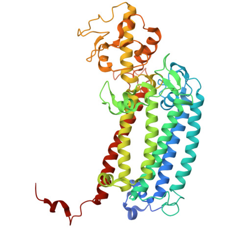 Rcsb Pdb 3jcu Cryo Em Structure Of Spinach Psii Lhcii Supercomplex At 3 2 Angstrom Resolution