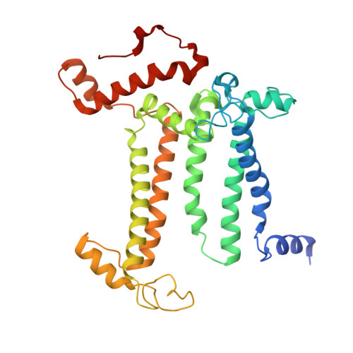 Rcsb Pdb 3jcu Cryo Em Structure Of Spinach Psii Lhcii Supercomplex At 3 2 Angstrom Resolution