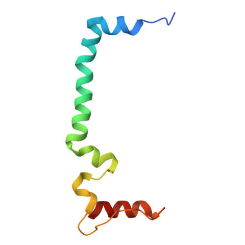 Rcsb Pdb 3jcu Cryo Em Structure Of Spinach Psii Lhcii Supercomplex At 3 2 Angstrom Resolution