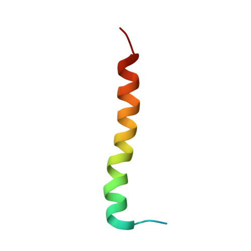 Rcsb Pdb 3jcu Cryo Em Structure Of Spinach Psii Lhcii Supercomplex At 3 2 Angstrom Resolution