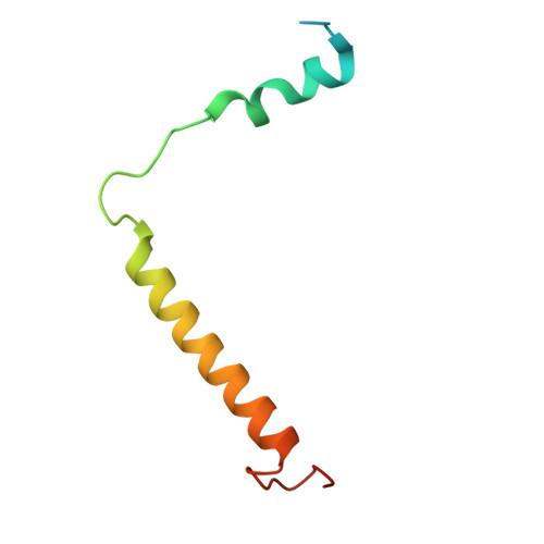 Rcsb Pdb 3jcu Cryo Em Structure Of Spinach Psii Lhcii Supercomplex At 3 2 Angstrom Resolution