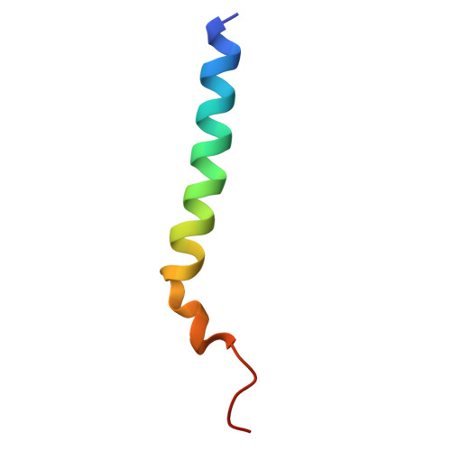 Rcsb Pdb 3jcu Cryo Em Structure Of Spinach Psii Lhcii Supercomplex At 3 2 Angstrom Resolution