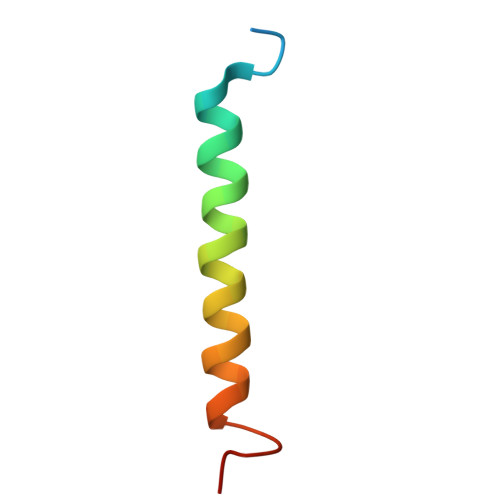 Rcsb Pdb 3jcu Cryo Em Structure Of Spinach Psii Lhcii Supercomplex At 3 2 Angstrom Resolution