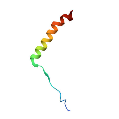 Rcsb Pdb 3jcu Cryo Em Structure Of Spinach Psii Lhcii Supercomplex At 3 2 Angstrom Resolution