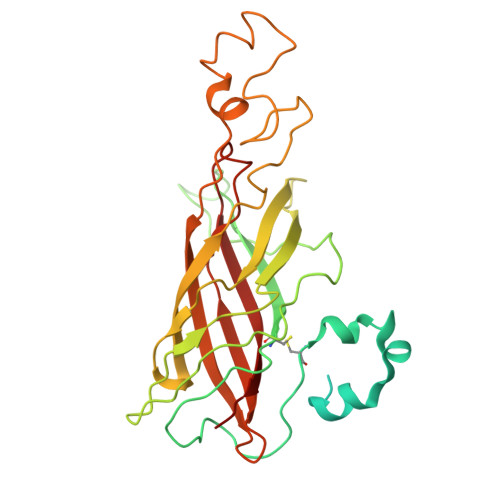 Rcsb Pdb 3jcu Cryo Em Structure Of Spinach Psii Lhcii Supercomplex At 3 2 Angstrom Resolution