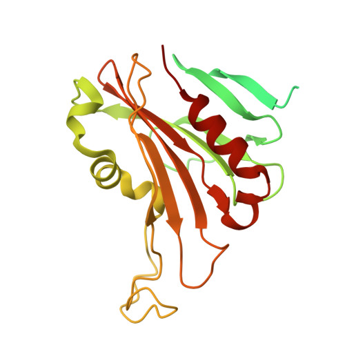 Rcsb Pdb 3jcu Cryo Em Structure Of Spinach Psii Lhcii Supercomplex At 3 2 Angstrom Resolution