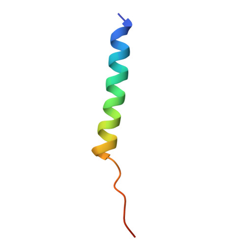 Rcsb Pdb 3jcu Cryo Em Structure Of Spinach Psii Lhcii Supercomplex At 3 2 Angstrom Resolution