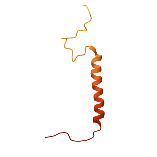 Rcsb Pdb 3jcu Cryo Em Structure Of Spinach Psii Lhcii Supercomplex At 3 2 Angstrom Resolution