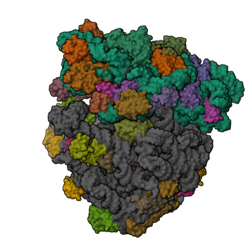 5JC9 assembly